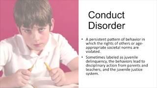 Disruptive Behavior Disorders: ODD, ADHD & CD – One-Day Virtual Summit, 5/8/20