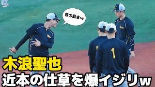 【爆イジリ(笑)】近本の走塁時の首振りをイジりまくる木浪聖也