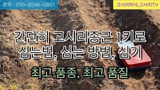 간단히 고사리종근 고사리뿌리 1키로 심는법,심는방법,심기