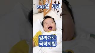 (day 201) 엄마랑 까꿍놀이