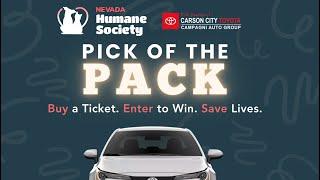 Carson City Toyota + Nevada Humane Society's PICK of the PACK