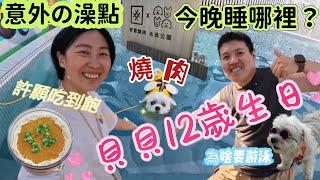 開箱貝來「好想燒肉X毛孩公園」馬爾濟斯12歲生日！寵物泳池+免費燒肉吃到飽！#寵物友善餐廳