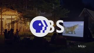 Twin Cities PBS/PBS (2020)