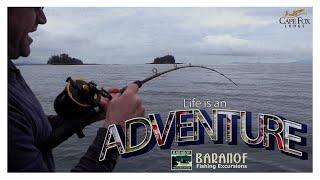 Never Stop Exploring with Cape Fox Lodge & Baranof Fishing