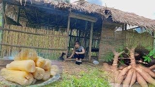 Making stone roads, renovating stone stoves, digging cassava and cooking with dogs- Lý Tiểu Vân