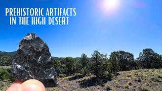 Searching For Prehistoric Artifacts In The High Desert