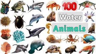 Water Animals Vocabulary ll 100 Common Water Animals Name in English With Pictures ll Sea Animals