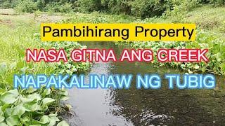 V #495 May Malinis Na Creek Sa Gitna Ng Property