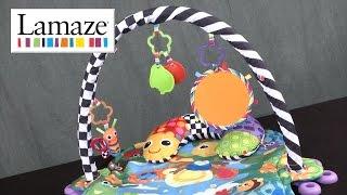 Lamaze Freddie the Firefly Gym from TOMY