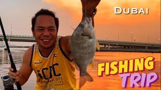 Super BIG Seabream Caught on Jaddaf, Dubai Summer 2024