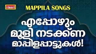 KANNUR ZEENATH MAPPILAPATTUKAL | Malayalam Mappila Songs | Pazhayamappila Songs