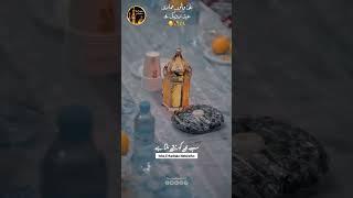 Haider_Haider_Manqabat_Status #ytshorts #youtubeshorts #shortvideo #shorts #mirhasanmir #manqabat