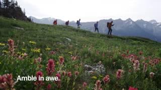 Just North of Amazing: CMH Summer Adventures