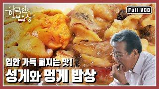 [한국인의밥상풀버전] 여름 바다의 명품조연! 성게와 멍게 찾아 바다 속 깊은 그곳으로~ “여름 바다의 수중진미 - 성게와 멍게” (KBS 20130711 방송)