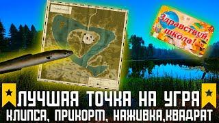 Лучшая точка на угря на Остроге Russian Fishing 4 #русскаярыбалка4 #russianfishing4 #трофейрр4#фарм