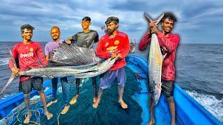 WOw Amazing Fishing!Biggest King Fish & Marlin Caught In The Deep Sea On The First Day