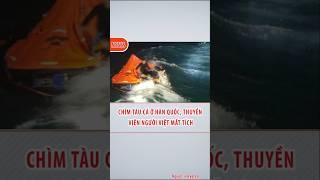 Chìm tàu cá ở Hàn Quốc, thuyền viên người Việt mất tích #shortvideo #tintuc24h #news #tintuc #tinmoi