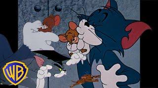 Tom y Jerry en Latino | Los mejores amienemigos que existen  | @WBKidsLatino