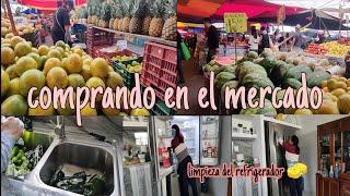 limpieza del refrigerador / comprando en el mercado / pechugas enchiladas 