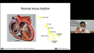 ECG 강의 1시간
