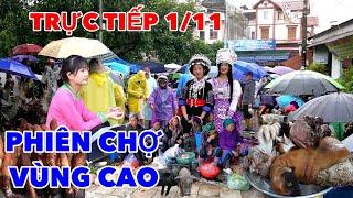 TRỰC TIẾP CHỢ VÙNG CAO 1/11 - ĐẶC SẮC CHỢ LÙNG PHÌNH BẮC HÀ