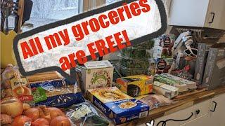 Another ALDI DUMPSTER Grocery Haul! Full Food Stock Up for FREE!!