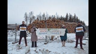 Акцию в защиту леса провели петербуржцы в Приморском районе.