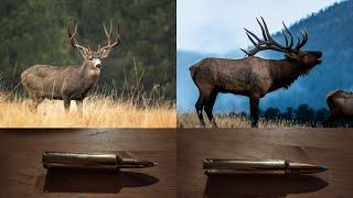 My Deer and Elk Hunting Cartridges for 2024!