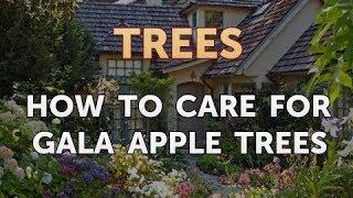 How to Care for Gala Apple Trees