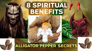 8 Spiritual Benefits Of Alligator Pepper. Stop witches and evil spirits. Grain of paradise benefits