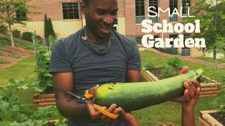 We started a School Garden 