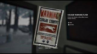 THE LONG DARK: Cougar Collectibles Items