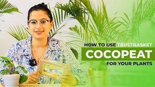 How to use TrustBasket Cocopeat for faster growth of plants 