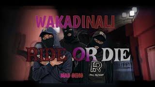 Wakadinali - RIDE OR DIE - Domani Munga  ft MadGeng (music video) #kenyandrill