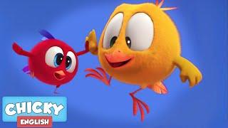 Where's Chicky? | CHICKY'S LITTLE FRIEND | Chicky Cartoon in English for Kids