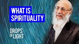 Understanding Jewish Spirituality (100 Sec) Rabbi Michel Twerski