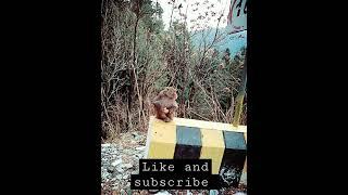 Natural beauty |toptrendingvideo| monkey|animal lover #toptrendingvideo#tiktokshort#monkey#youtube