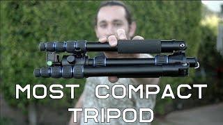 AMAZING - AFFORDABLE - Must-Have Travel Tripod | Momentum Productions