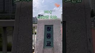 [노원하는대로] Ep4. 노원에서 공원, 산책, 따릉이 한 번에 즐길 수 있는 곳이 궁금해요! #노원하는대로 #공원 #따릉이 #중랑천 #노원구영상공모전 #노원구청미홍씨 #노원구
