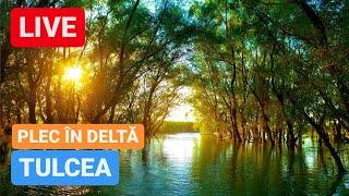  TULCEA LIVE - PLEC în DELTA DUNĂRII, vezi drumul cu barca pana acolo!