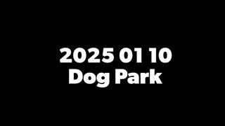 Dog Park 2025 01 10