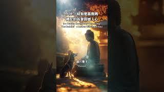 人比一條狗更高貴嗎？佛陀的答案震撼人心！佛陀, 輪回, 眾生平等, 悟道, 禪修, 佛法智慧, 修行, 無常, 因果, 心靈覺醒, 放下執著, 生命真相, 開悟, 覺醒, 靜心