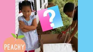 Boy Or Girl? | Funny Gender Reveal Reactions