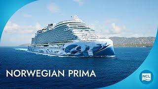 Norwegian Prima Cruise Ship | NCL