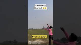 Kite Looting 