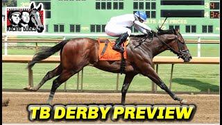 Tampa Bay Derby Picks and Preview 2025 | Kentucky Derby Prep Race