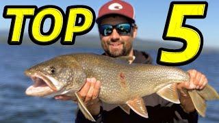 MUST HAVE Baits for Lake Trout & How to Fish them!