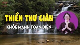 Bài Thiền Thư Giãn Giúp Khỏe Mạnh Toàn Diện | Thư Giãn - Trị Liệu - Khơi Thông Tắc Nghẽn