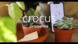 Crocus presents Iris, our free gardening app