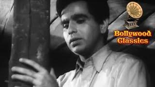 Hum Dard Ke Marhon Ka Itna Hi Fasana Hai - Talat Mahmood's Classic Romantic Song - Daag